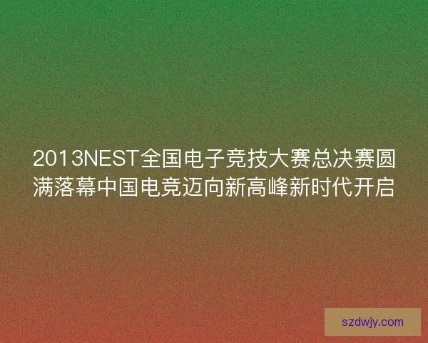 2013NEST全国电子竞技大赛总决赛圆满落幕中国电竞迈向新高峰新时代开启