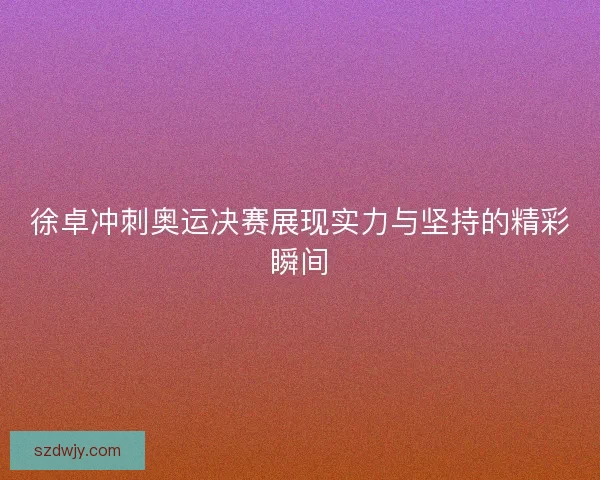 徐卓冲刺奥运决赛展现实力与坚持的精彩瞬间 徐卓冲刺奥运决赛展现实力与坚持的精彩瞬间