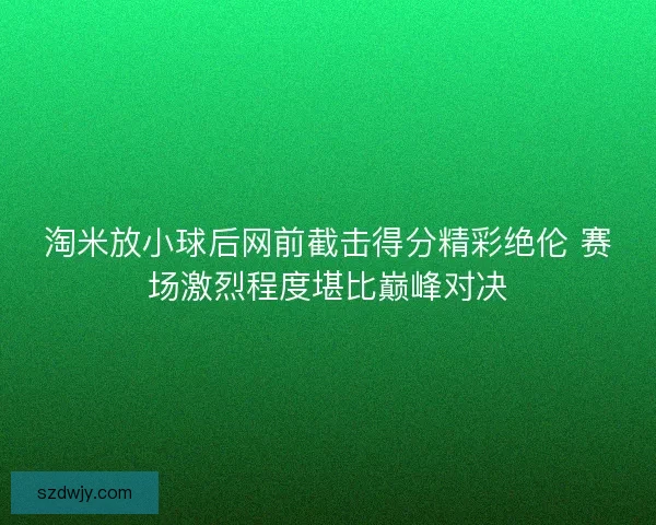 淘米放小球后网前截击得分精彩绝伦 赛场激烈程度堪比巅峰对决 淘米放小球后网前截击得分精彩绝伦 赛场激烈程度堪比巅峰对决