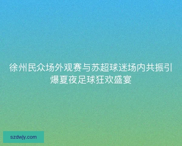 徐州民众场外观赛与苏超球迷场内共振引爆夏夜足球狂欢盛宴